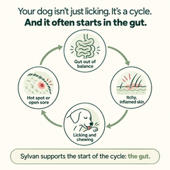 Parasite Cleanse Pet Care Drops